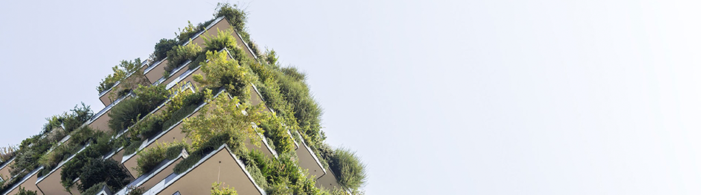 A importância da sustentabilidade e Arquitetura