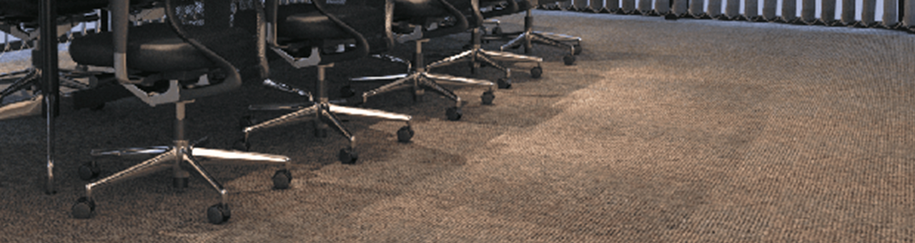 Zyklus: transparência, saúde e sustentabilidade em cada detalhe